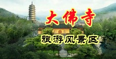 艹逼网页中国浙江-新昌大佛寺旅游风景区